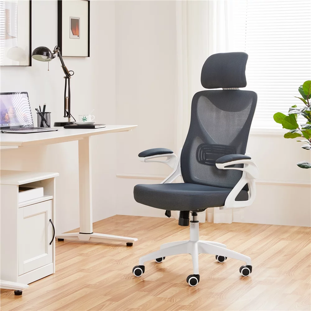 Alden Design Ergonomic Mesh Office Chair with High Back, Black