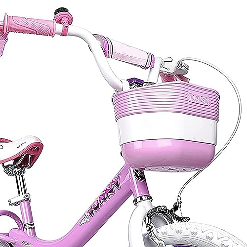 Royalbaby Princess Girls Kids Bike 12 14 16 18 20 Inch Children Bicycle with Basket for Age 3-12 Years