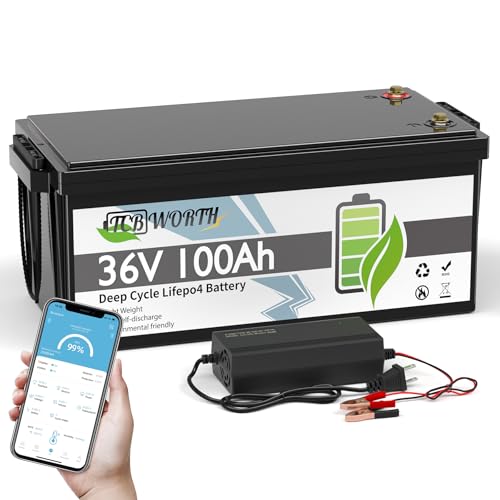 12V 100Ah LiFePO4 Battery, Rechargeabel Deep Cycle Lithium Batteries, 100A BMS with Low-Temp Protection, Perfect for RV, Solar, Boat, Marine