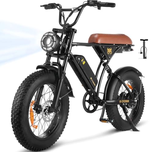 Electric Bike for Adults,Peak 1000W/1500W Motor,20/28MPH 55-150Mile ebikes for Adults with 10.4AH/13AH/26AH Battery