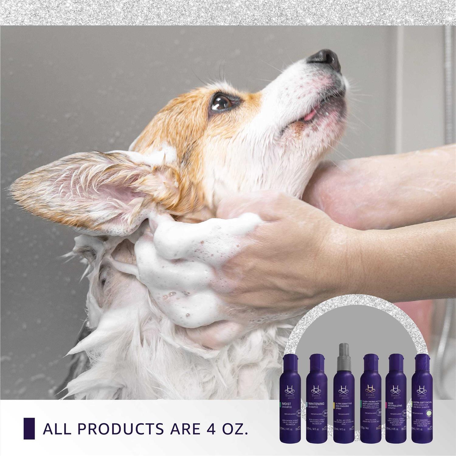 Hydra Professional Experience Set, cat and Dog grooming Shampoo, conditioner, and Sprays, Dog and cat grooming Supplies - Pet Supplies online store