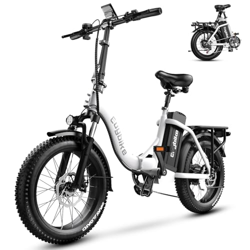 1000W Folding Electric Bike,48V 20AH Removable Battery E Bike,30+MPH,80 Miles Max Range Electric Bike for Adults,20" Fat Tire Foldable ebike