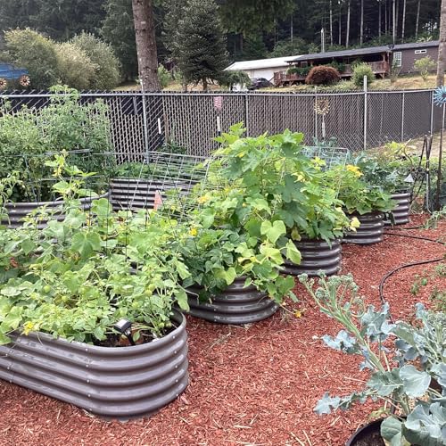 A ANLEOLIFE 8X4X1.5 ft Galvanized Raised Garden Beds Outdoor, Oval Large Metal Planter Box for Planting Vegetables Flowers Herb