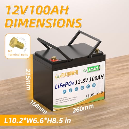 FLLYROWER 12V Lithium Battery 100AH With BMS and 16500 Deep Cycles 12V 100AH Lifepo4 Battery Grade A Cells for Marine Trolling Motor RV camping Solar