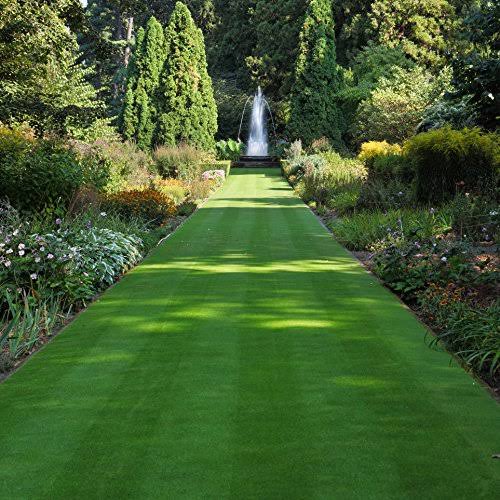 Outsidepride Legacy Fine Fescue Grass Seed - 10 lbs