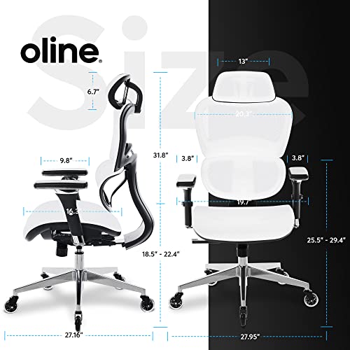 Oline ErgoPro Ergonomic Office Chair, Rolling Desk Chair with 4D Adjustable Armrest, 3D Lumbar Support, Blade Wheels