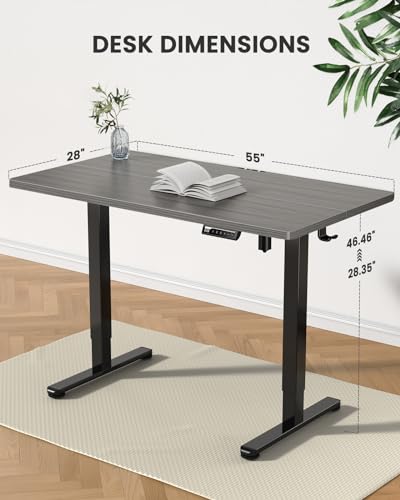 ErGear Height Adjustable Electric Standing Desk, 48 x 24 Inches Sit Stand up Desk, Memory Computer Home Office Desk with Two-Piece Desktop (Walnut)