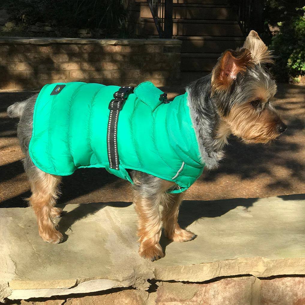 Alpine Extreme Weather Puffer Coat - Arcadia 4X-Large