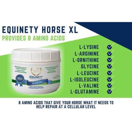 Equinety Horse XL - Sports Supplies Online Store