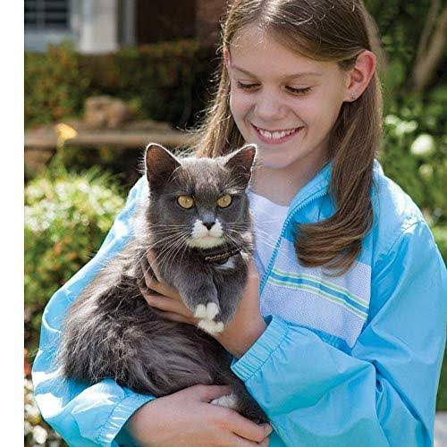 PetSafe In-Ground Cat Fence Receiver Collar
