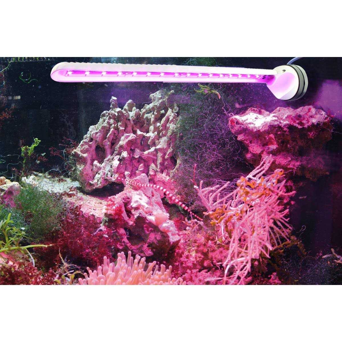Tunze Eco Chic Refugium LED Light 8831 - Pet Supplies online store