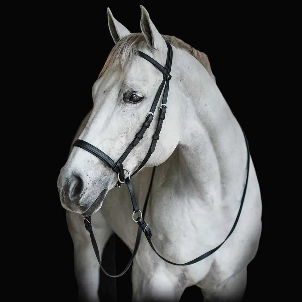 Dr. Cook Beta Bitless Bridle - Sports Supplies Online Store