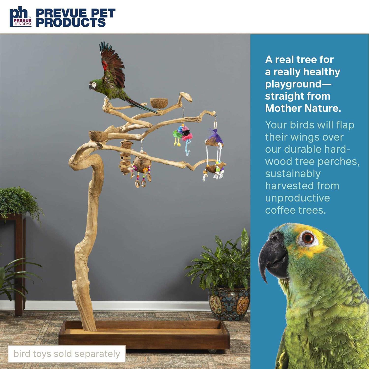 Prevue Pet Products Coffeawood Tree Style #2 Floor Stand - Pet Supplies online store