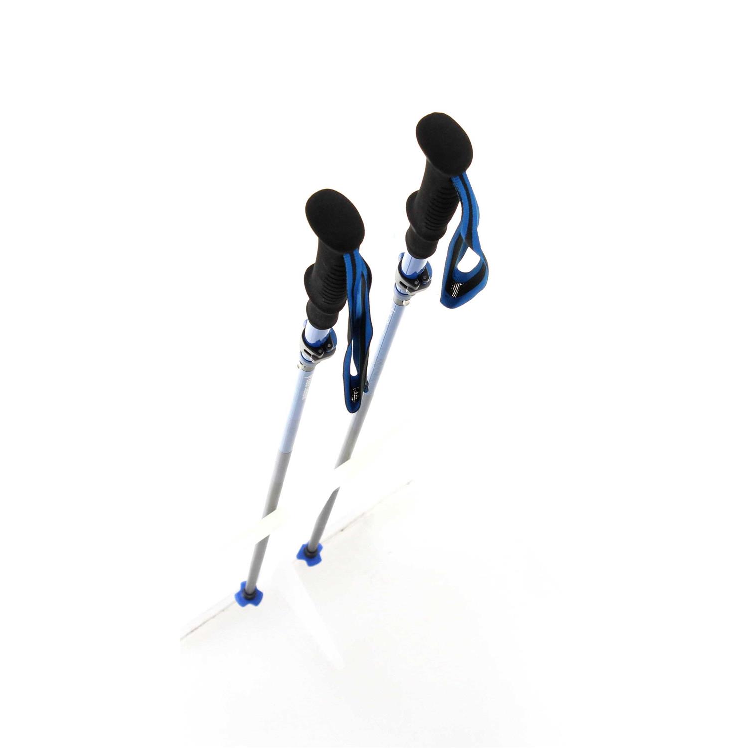 Black Diamond Distance Carbon FLZ Poles - Sports Supplies Online Store