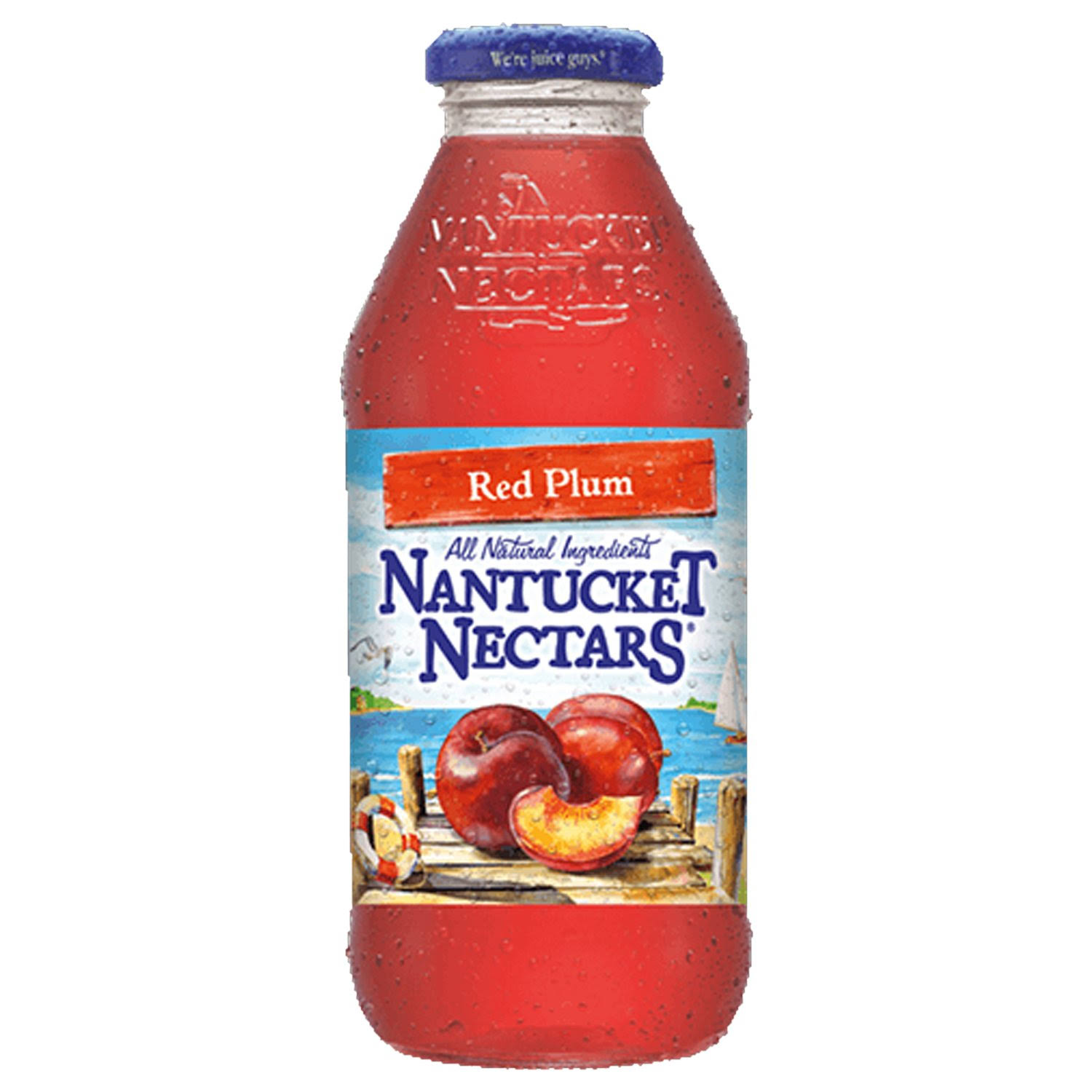 Nantucket Nectars - Red Plum - 16 oz (12 Glass Bottles)