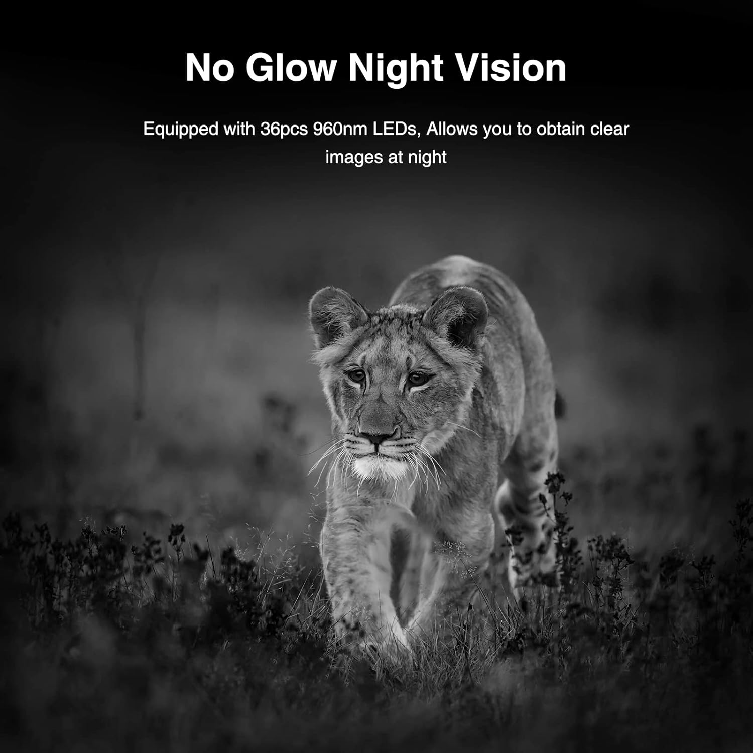 WiFi Bluetooth Trail Camera, 20MP 1296P 2.4” LCD Game Camera，Clear 100ft No Glow Infrared Night Vision