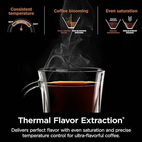 Ninja Hot & Iced XL Coffee Maker with Rapid Cold Brew, 4 Brew Styles, 8 Sizes Small Cup to Travel Mug, Single-Serve Coffee Brewer, 12-Cup Carafe