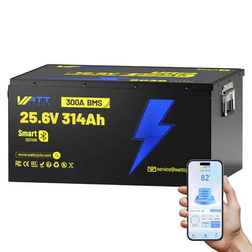 12V 314Ah Mini LiFePO4 Lithium Battery with Bluetooth 5.0, 200A BMS, 4.01kWh Energy, Upgraded Aluminum Cooling Fins & Braided Copper Wires, for RV