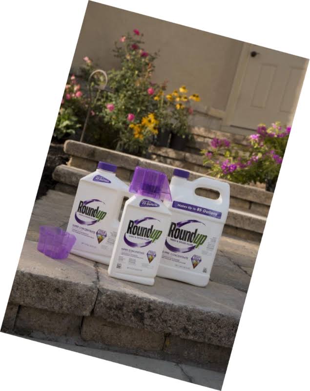 Roundup 1 Gal Super Concentrate Weed u0026 Grass Killer