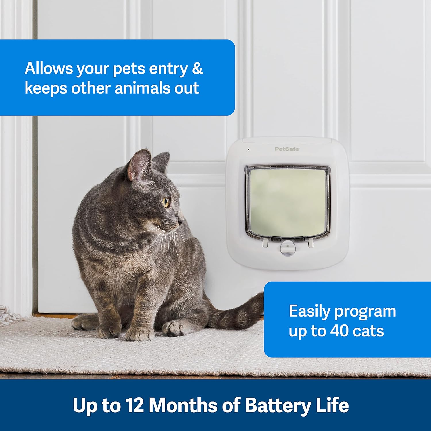 PetSafe Microchip Cat Door, Exterior or Interior Pet Door - Multi-User RFID Access Up To 40 Pets, 4-Way Locking, Weatherproof, DIY Easy Install