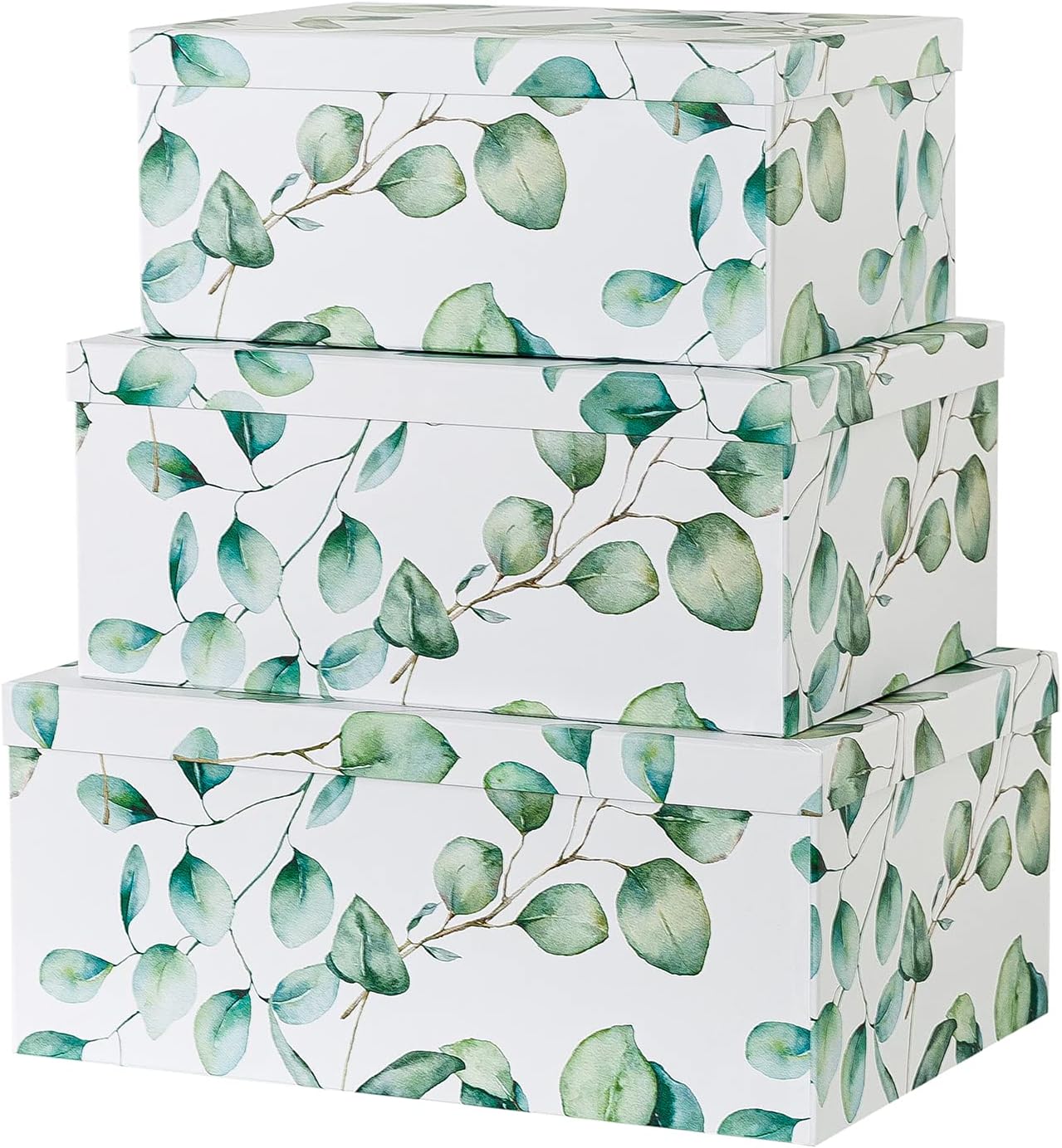 Soul & Lane Decorative Storage Cardboard Boxes with Lids | Autumn Wonders - Set of 3 | Botanical Paperboard Nesting Boxes Pack of 2