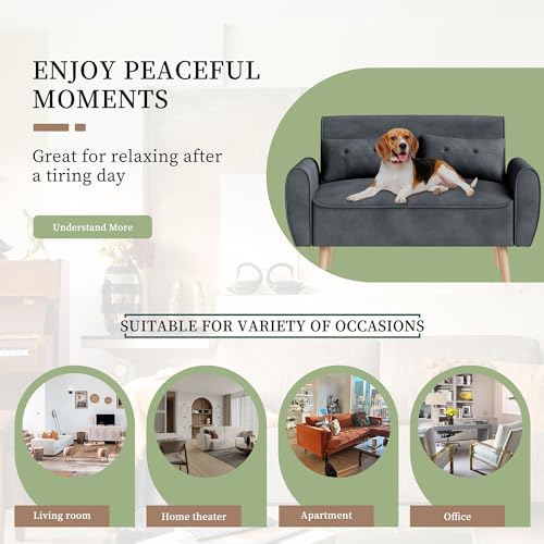 Vongrasig 47" Small Modern Loveseat Sofa
