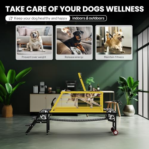 Dog Treadmill for Large Dogs,91" Treadmill for Dogs with Brake