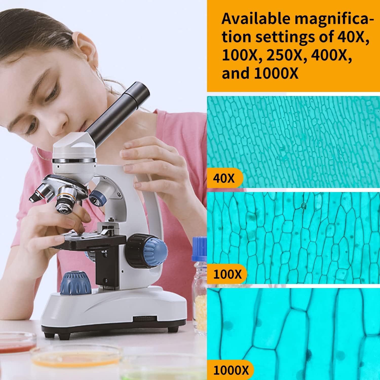 SWIFT Microscope SW150,Compound Student Microscope,40X-1000X,Monocular Head,Coarse & Fine Focusing,Dual Illumination