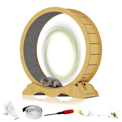Cat Exercise Wheel 45 Inch Cat Treadmill for Indoor Cats, Running Wheel with Detachable Carpeted Runway