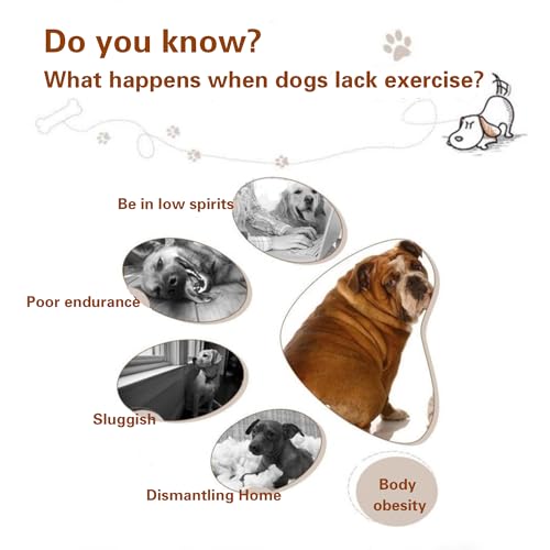 Electric Dog Treadmill for All Breeds - Quiet Motor, Adjustable Speed, LCD Display - Indoor Pet Fitness Machine for Small, Medium & Large Dogs & Cats