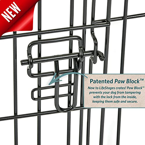 MidWest Homes for Pets XL Dog Crate | MidWest Life Stages Folding Metal Crate | Divider Panel, Floor Protecting Feet