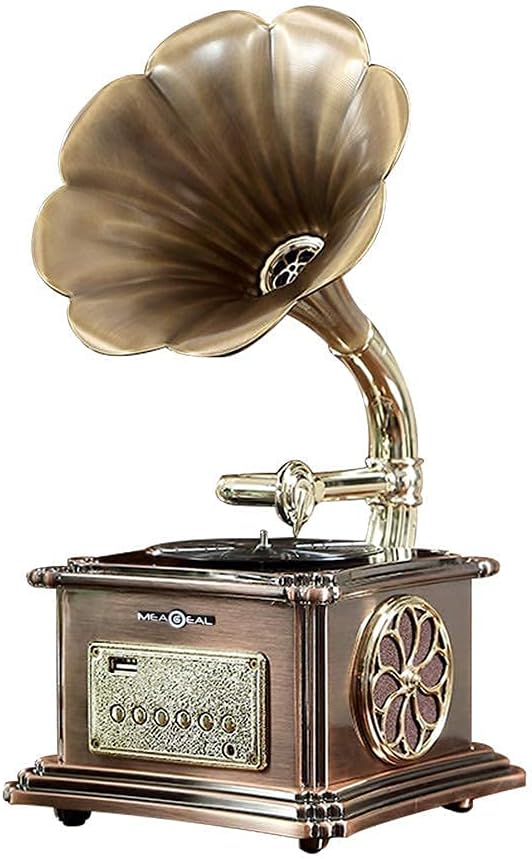 Mini Record Player with Aluminum Base, Phonograph Bluetooth Speaker, Aux-in,Aux-Output, USB Port for Flash Drive