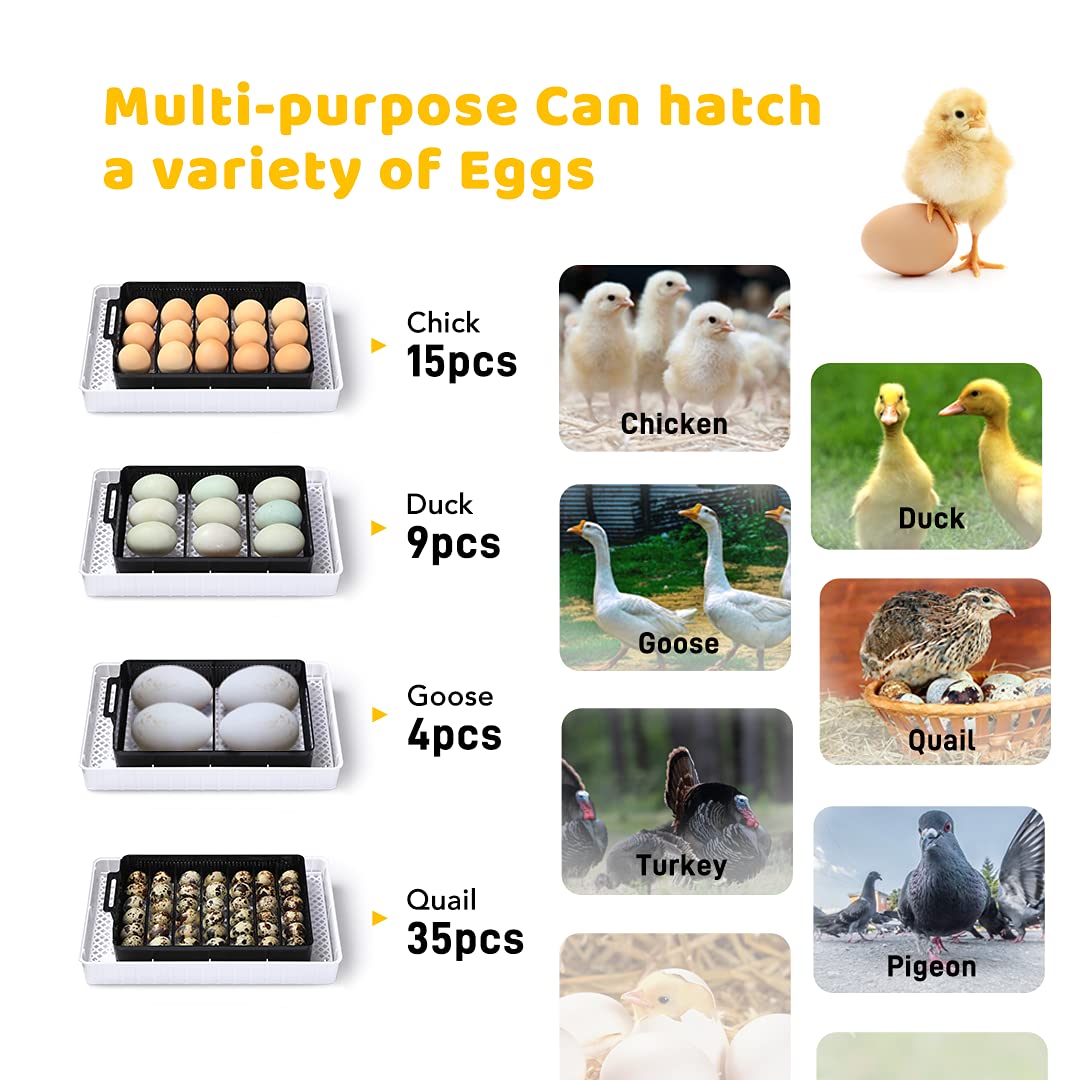 Egg Incubator Clear View, 9-35 Eggs Hatching Incubator with Automatic Egg Turner, Humidity Temperature Control, Led Candler