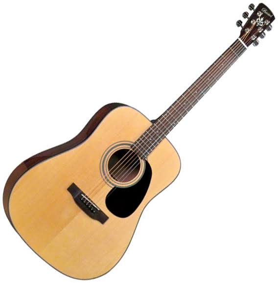 Bristol BD-16 Dreadnaught Acoustic Guitar