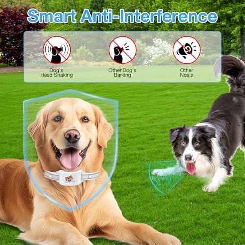 GPS Wireless Dog Electronic Fence & Dog Training Collar, Fence with GPS Tracker
