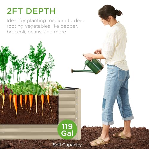 Best Choice Products 8x4x2ft Outdoor Metal Raised Garden Bed, Deep Root Planter Box for Vegetables, Flowers, Herbs