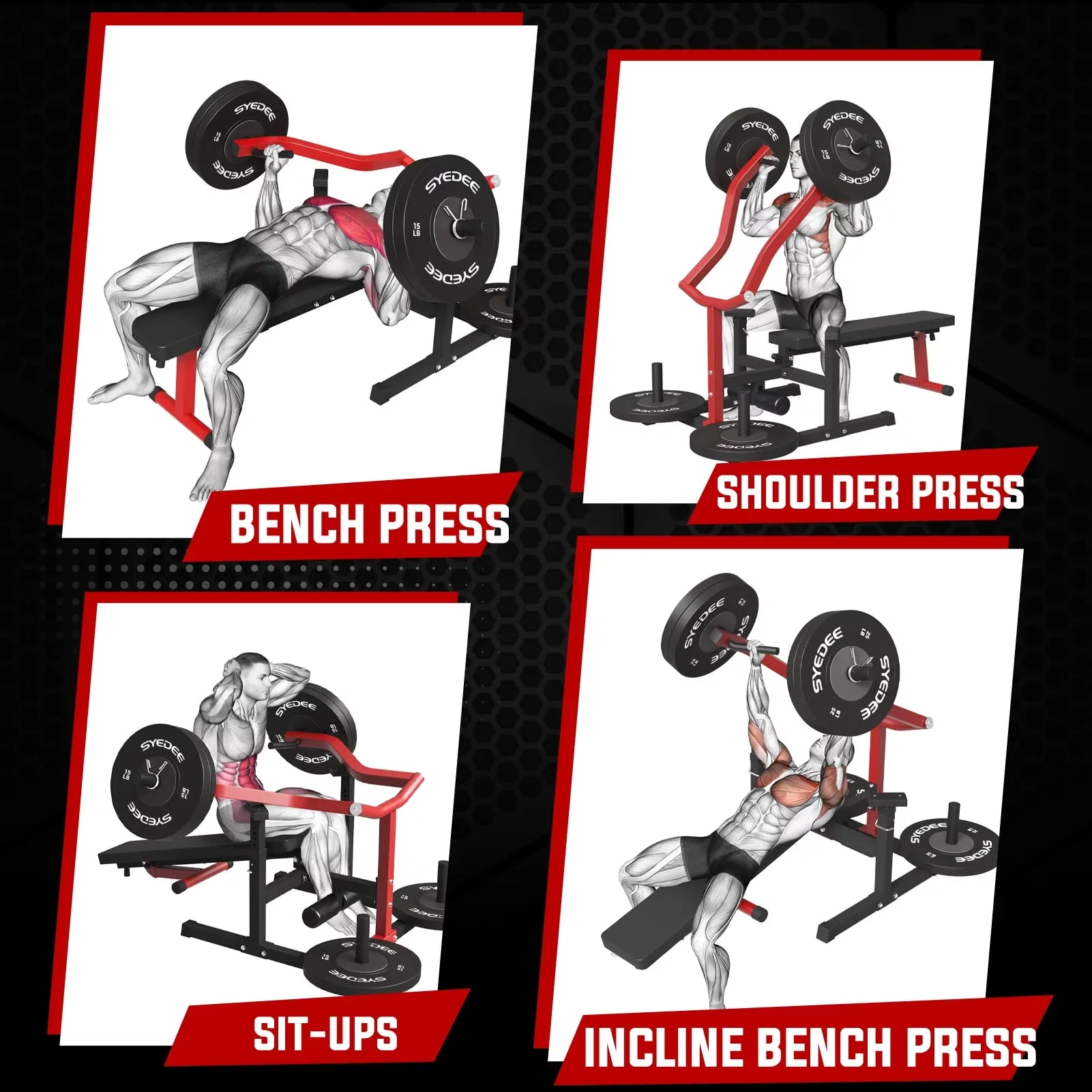 Syedee Chest Press Machine, 1250LBS Capacity with Independent Converging Arms, Adjustable Flat Incline Bench for Home Gym