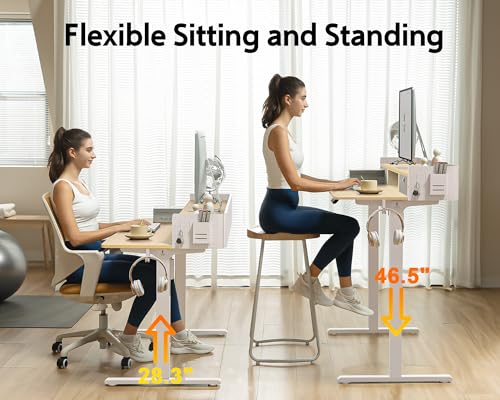 48x24 Inches Electric Standing Desk with 2 Drawers, Height Adjustable Stand up Desk for Home Office, Ergonomic Sit to Stand Table with Storage Shelf