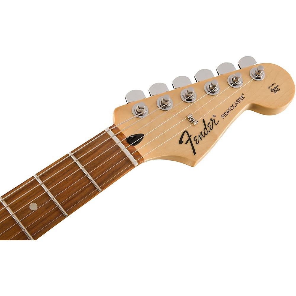 Fender Standard Stratocaster Pau Ferro Fingerboard Black
