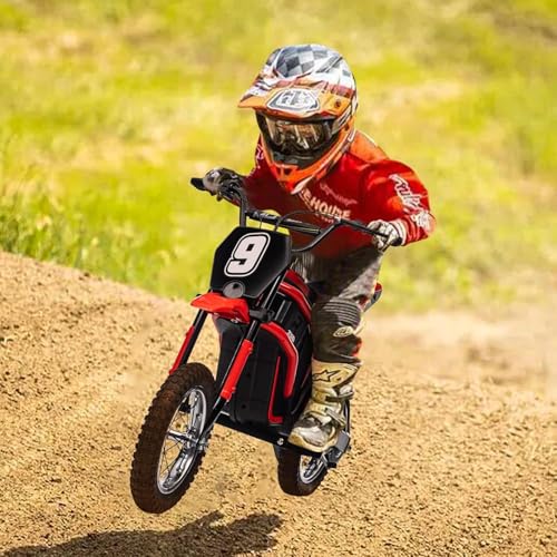 Electric Dirt Bike for Kids, 24V 350W Kids Electric Motorcycle, 3-Speed Modes & Up to 14.29 MPH, Metal Suspension Safe and Shock Proof