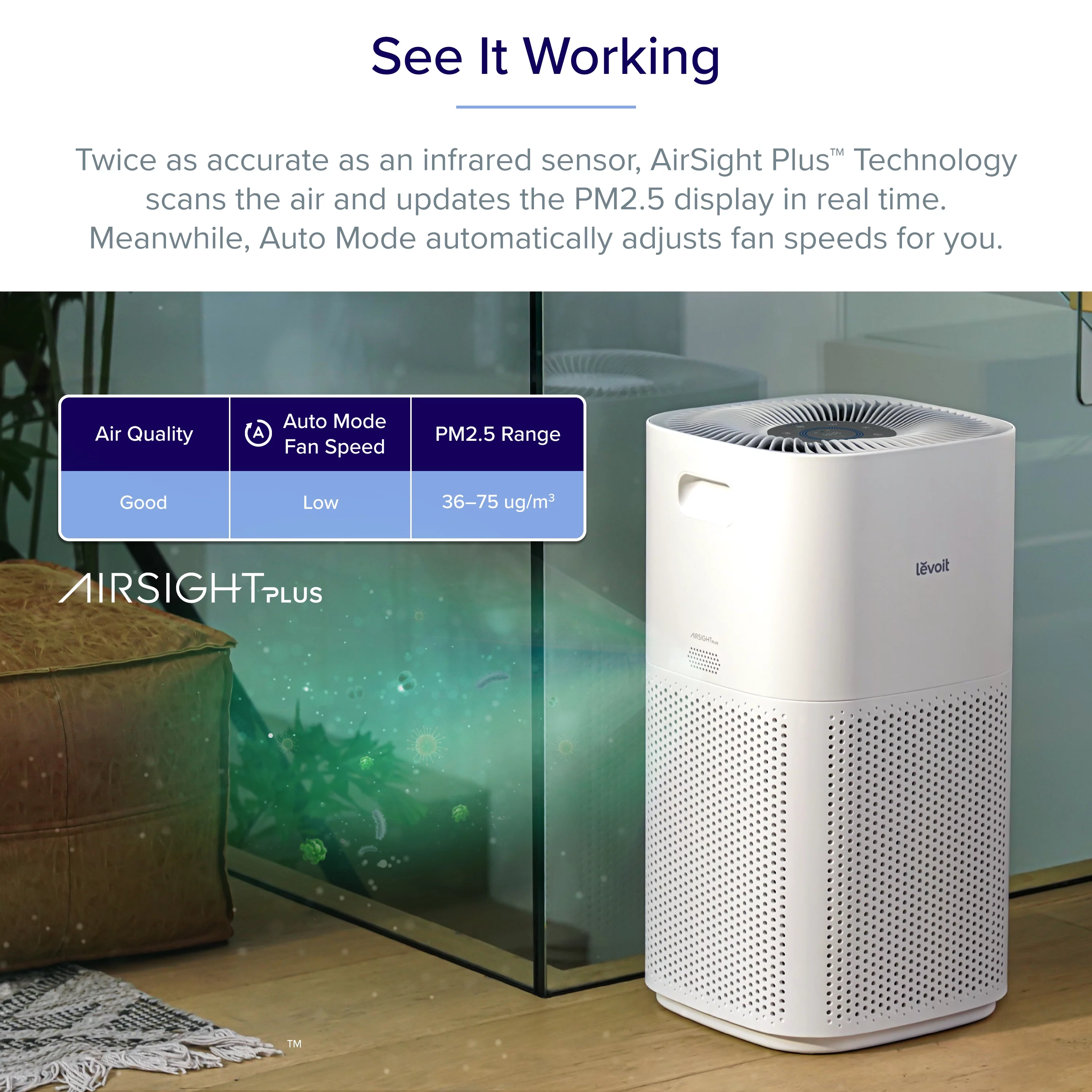 Levoit Air Purifier PlasmaPro, for Extra Large Rooms (1588 Sq. ft), White, Black UI