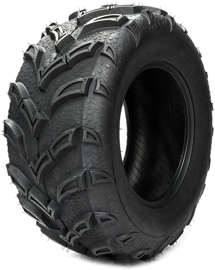 Autoforever 2 New 25x10-12 ATV UTV Rear Tires 6PR 25x10x12 All-terrain Tires