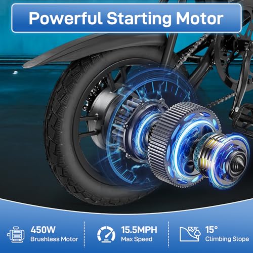 Winado Electric Bike for Adults, 14" Folding Electric Bicycle 450W Motor with Dual Disc Brakes, Max Range 25Miles(Pedal-Assist) & Speed 15.5MPH