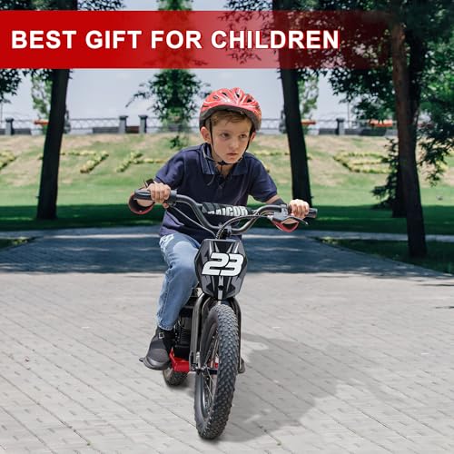 wanan Electric Dirt Bike for Kids 6-12 with Shock-Absorbing Front Fork, 250W Electric Motorcycle Up to 15.5MPH, 24V Detachable Battery, 16''