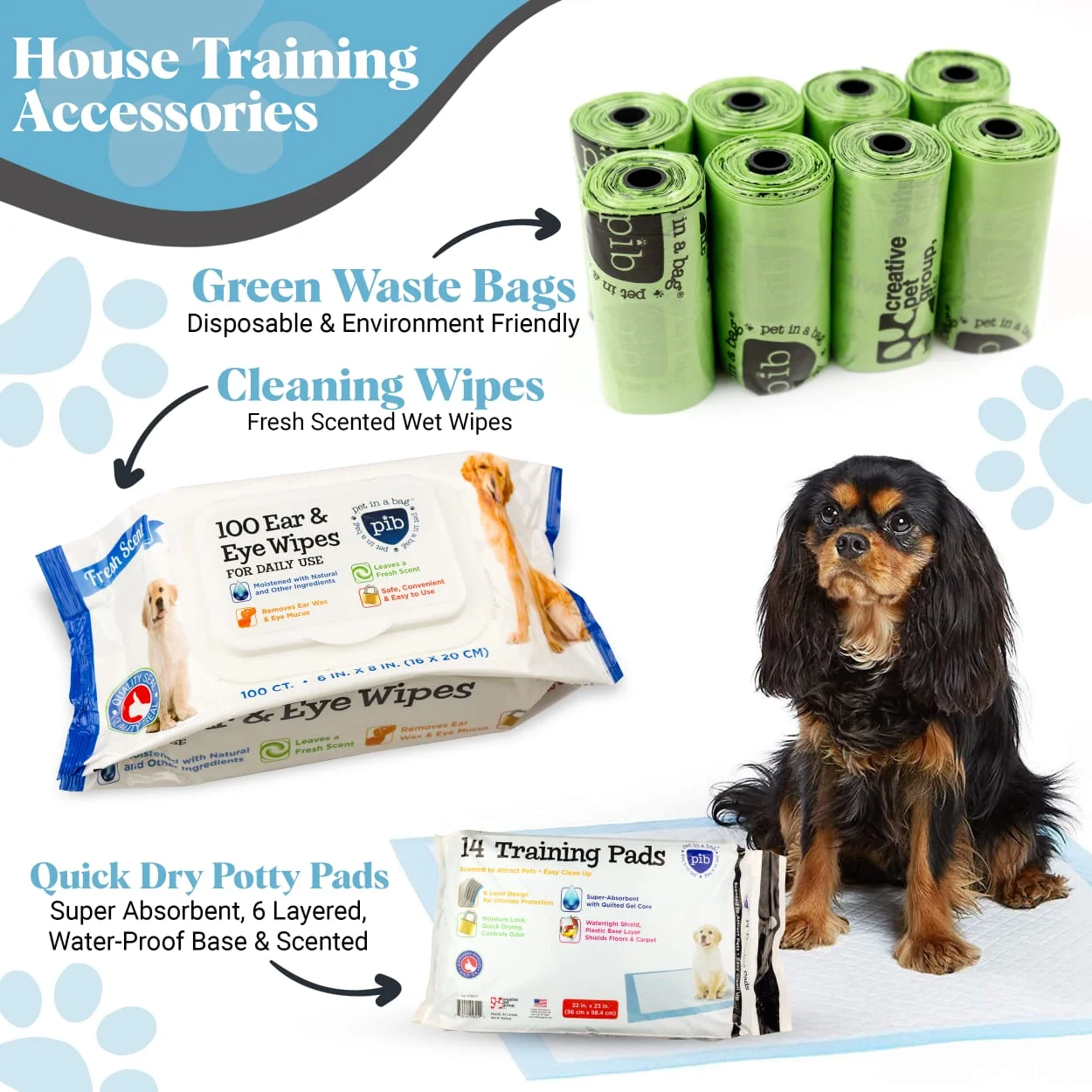 New Puppy Starter Kit