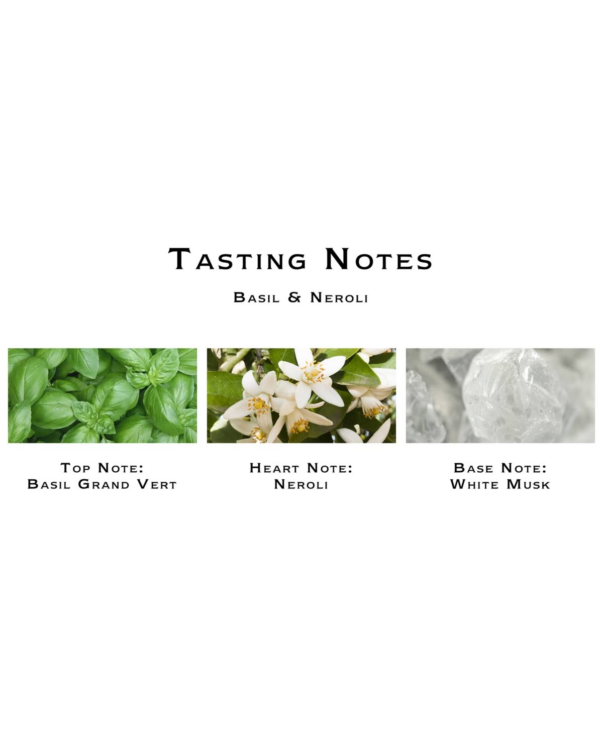 Jo Malone Basil u0026 Neroli Body Creme
