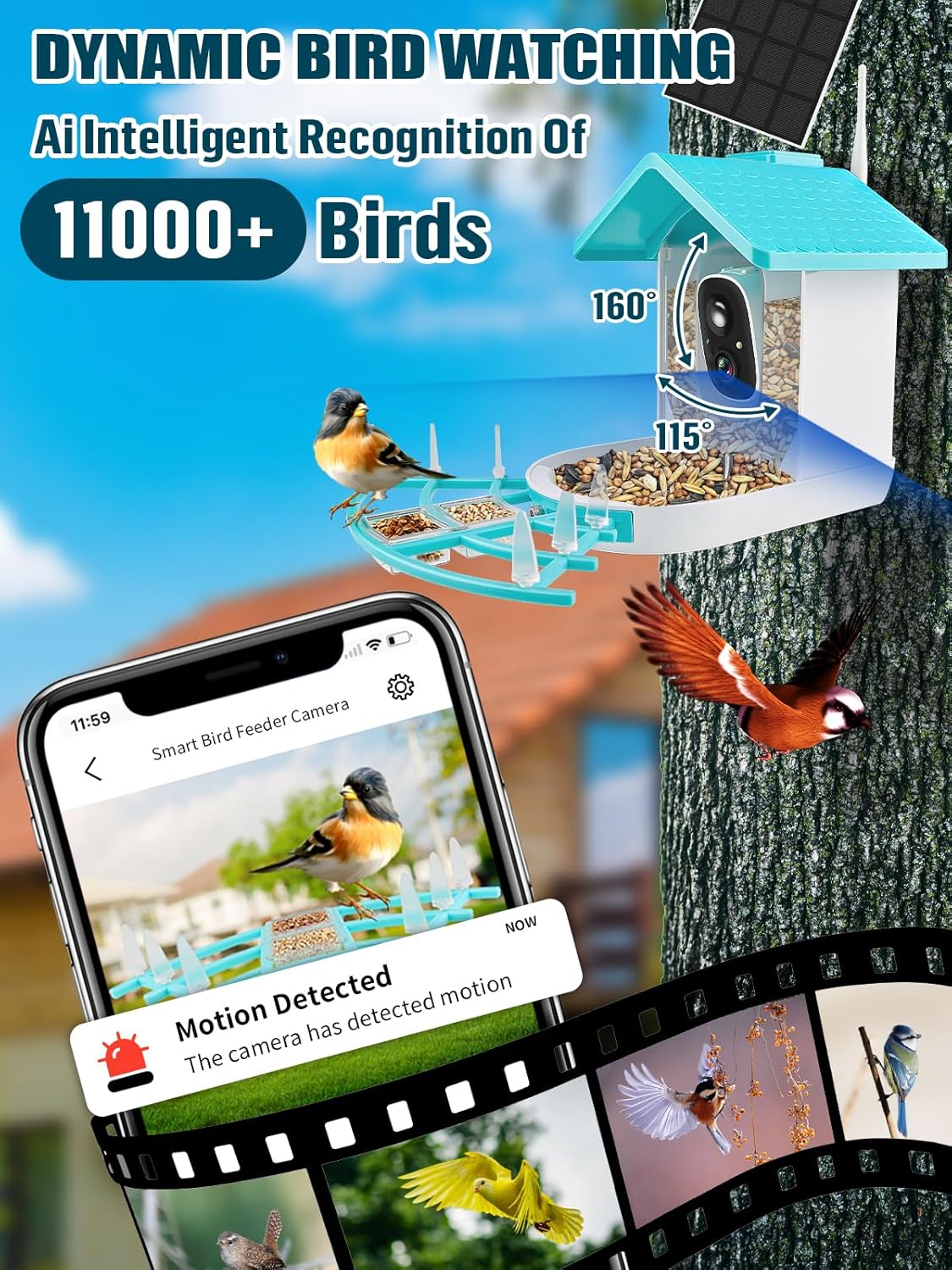 EBANKU Smart Bird Feeder with Camera, Solar Powered Dual Charge 1080P HD Video AI Identify 10000+Bird Species Bird Feeders for Outside