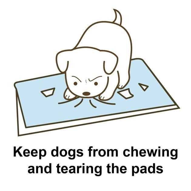 Richell PAW Trax High Wall Potty Pad Tray - Pet Supplies online store