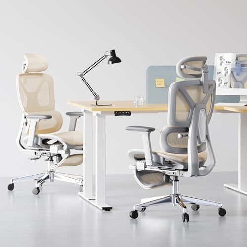 FLEXISPOT ErgoX Premium Ergonomic Office Chair with Footrest- Adjustable 3D Armrests, Dynamic Lumbar Support, Recline & Tilt Function, Mesh Seat