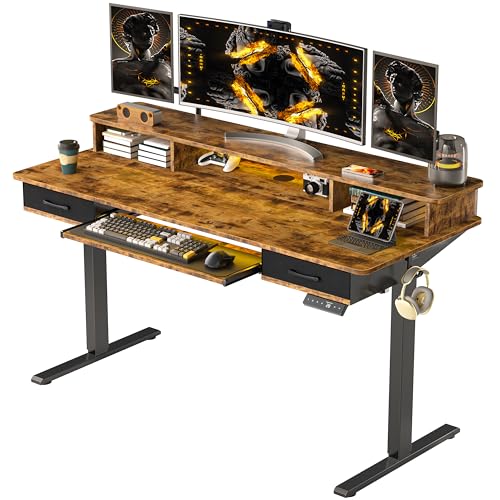 48x24 Inches Electric Standing Desk with 2 Drawers, Height Adjustable Stand up Desk for Home Office, Ergonomic Sit to Stand Table with Storage Shelf